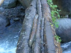 Kangchenjunga 02 04 Log Bridge on the way to Chirwa The next day, we trekked from Mitlung (880m) to Sakathum (1640m) in just over seven hours, ascending only 760m. The morning is perfectly clear after yesterday&hellip;