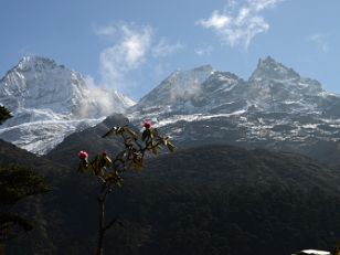Trek Back To Yuksom